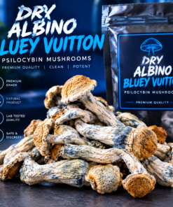 Bluey Vuitton Mushroom​